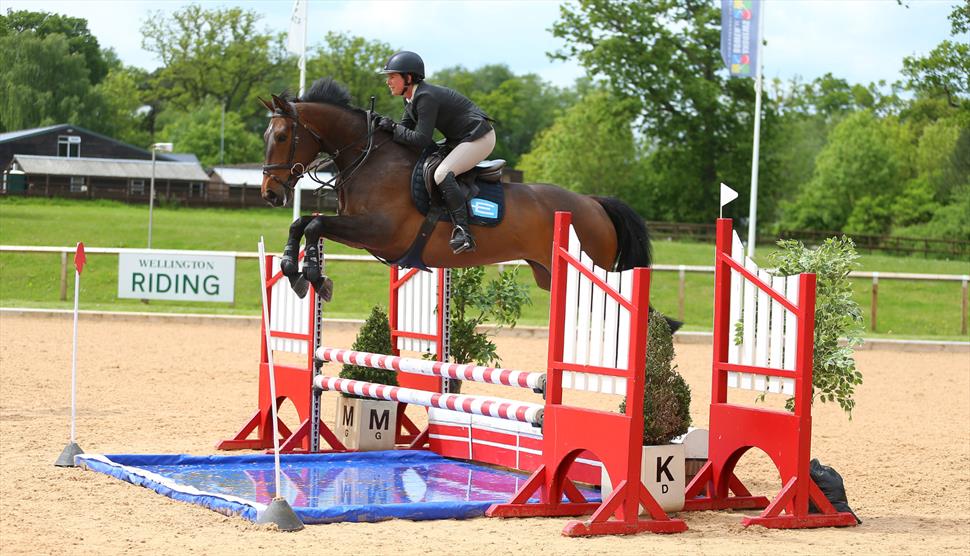 Wellington Riding Hook